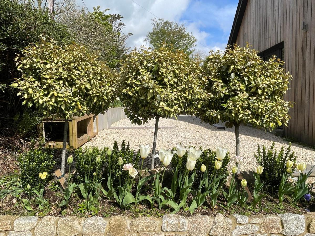 Cedar House Ilsington Exterior foto